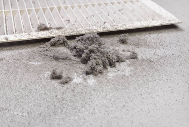Best Ventilation Cleaning Services  in Hamilton, MT