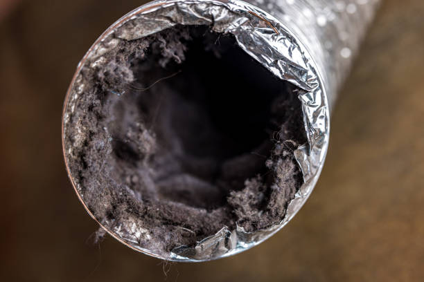 Best HVAC Duct Inspection Services  in Hamilton, MT